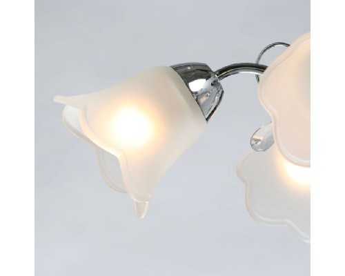 Потолочная люстра Моника 372015305 MW-Light Потолочная люстра Моника 372015305 MW-Light