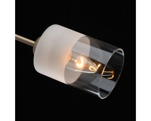 Потолочная люстра Олимпия 638014705 MW-Light Потолочная люстра Олимпия 638014705 MW-Light