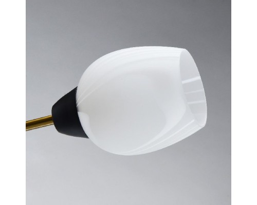 Потолочная люстра Олимпия 638018406 MW-Light Потолочная люстра Олимпия 638018406 MW-Light