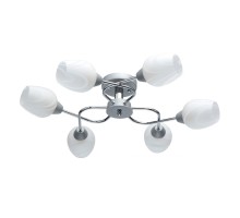 Потолочная люстра Олимпия 638018506 MW-Light