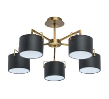 Потолочная люстра Сайрус 721010205 MW-Light