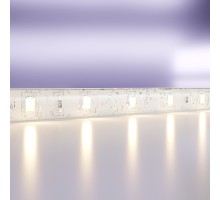 Светодиодная лента Led strip 20016 Maytoni