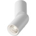 Точечный светильник Dafne C027CL-L10W4K Maytoni