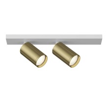 Точечный светильник Focus S C051CL-2WBS Maytoni