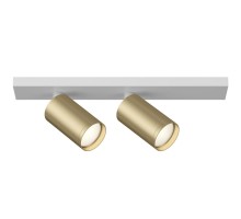Точечный светильник Focus S C051CL-2WMG Maytoni