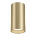 Точечный светильник FOCUS S C052CL-01MG Maytoni