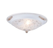 Потолочный светильник Diametrik C907-CL-02-W Maytoni