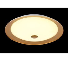 Потолочный светильник Euler CL815-PT50-G Maytoni