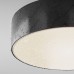 Потолочный светильник уличный Zon IP O431CL-L30B4K Maytoni