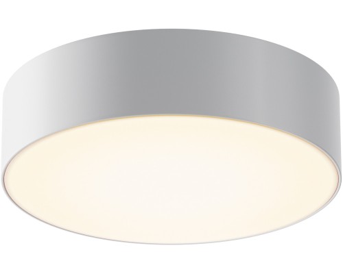 Потолочный светильник уличный Zon IP O431CL-L30W3K Maytoni Потолочный светильник уличный Zon IP O431CL-L30W3K Maytoni
