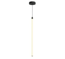 Подвесной светильник Ray P021PL-L20B3K Maytoni