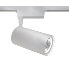 Трековый светильник Vuoro TR003-1-36W3K-M-W Maytoni