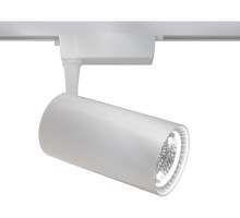 Трековый светильник Vuoro TR003-1-36W4K-M-W Maytoni