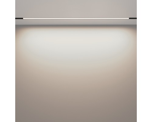 Трековый светильник Basis TR030-2-30W4K-B Maytoni Трековый светильник Basis TR030-2-30W4K-B Maytoni