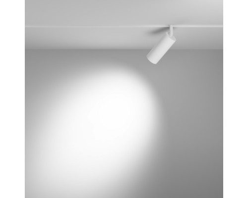 Трековый светильник Focus LED TR032-4-12W3K-S-DS-W Maytoni Трековый светильник Focus LED TR032-4-12W3K-S-DS-W Maytoni