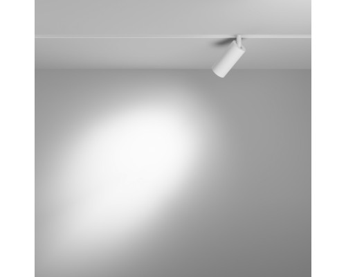 Трековый светильник Focus LED TR032-4-5W3K-S-DS-W Maytoni Трековый светильник Focus LED TR032-4-5W3K-S-DS-W Maytoni