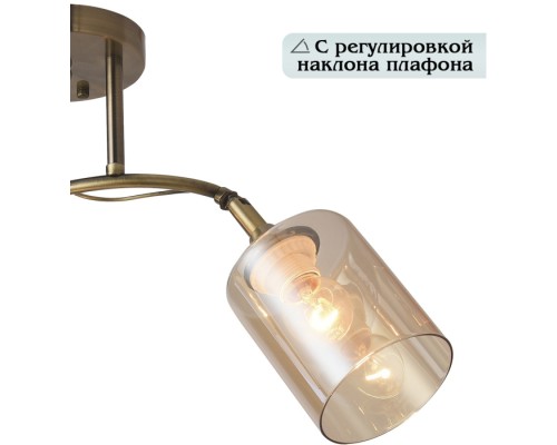 Потолочная люстра Taylor 81452/2W Natali Kovaltseva Потолочная люстра Taylor 81452/2W Natali Kovaltseva