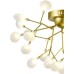 Потолочная люстра Grace GRACE 75126/6C GOLD SATIN Natali Kovaltseva