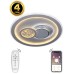 Потолочный светильник Led LED LAMPS 81094 Natali Kovaltseva