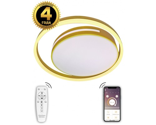 Потолочный светильник LED LAMPS LED LAMPS 81304 Natali Kovaltseva Потолочный светильник LED LAMPS LED LAMPS 81304 Natali Kovaltseva