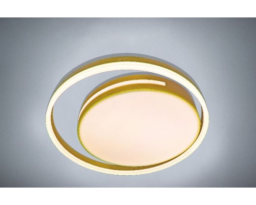 Потолочный светильник LED LAMPS LED LAMPS 81304 Natali Kovaltseva Потолочный светильник LED LAMPS LED LAMPS 81304 Natali Kovaltseva