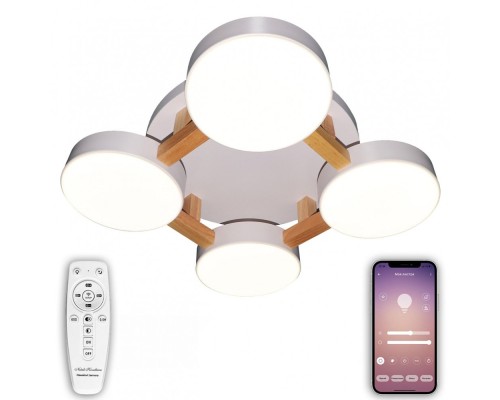 Потолочная люстра LED LED LAMPS 81325 Natali Kovaltseva Потолочная люстра LED LED LAMPS 81325 Natali Kovaltseva