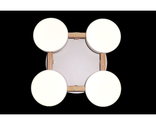 Потолочная люстра LED LED LAMPS 81325 Natali Kovaltseva Потолочная люстра LED LED LAMPS 81325 Natali Kovaltseva