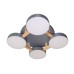 Потолочная люстра LED LED LAMPS 81326 Natali Kovaltseva