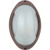 Настенный светильник уличный SIDNEY 10808 Cb Oasis Light
