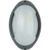 Настенный светильник уличный SIDNEY 10808 V Oasis Light