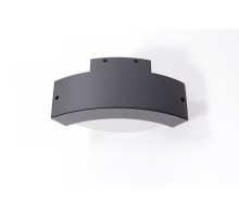 Настенный светильник уличный  2146 GR Oasis Light