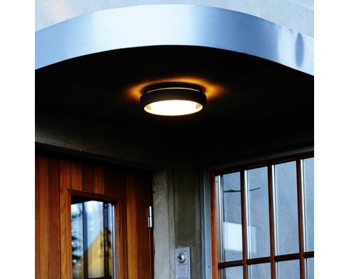 Потолочный светильник уличный SIDNEY 3351 Gr Oasis Light Потолочный светильник уличный SIDNEY 3351 Gr Oasis Light