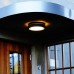 Потолочный светильник уличный SIDNEY 3351 Gr Oasis Light