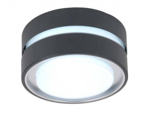 Потолочный светильник уличный 3351S Gr Oasis Light Потолочный светильник уличный 3351S Gr Oasis Light