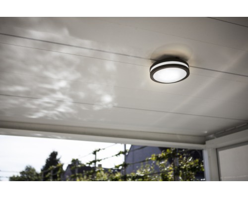 Потолочный светильник уличный SIDNEY 3362 Gr Oasis Light Потолочный светильник уличный SIDNEY 3362 Gr Oasis Light