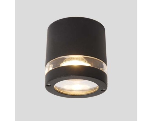 Потолочный светильник уличный 6042 Gr Oasis Light Потолочный светильник уличный 6042 Gr Oasis Light