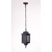 Уличный светильник подвесной 64805S Bl Oasis Light