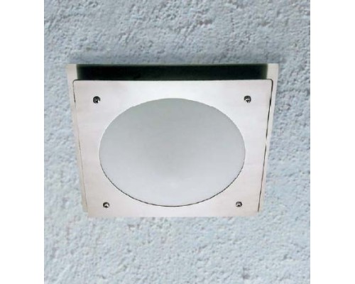 Потолочный светильник уличный 77803 SS Oasis Light Потолочный светильник уличный 77803 SS Oasis Light