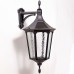 Настенный фонарь уличный 79702L Bl Oasis Light