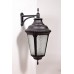 Настенный фонарь уличный 79752L Bl Oasis Light