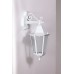 Настенный фонарь уличный PETERSBURG M 79802M/02 W Oasis Light