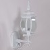 Настенный фонарь уличный 83401S W Oasis Light