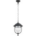 Уличный светильник подвесной MADRID 84305 Bl Oasis Light