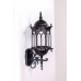 Настенный фонарь уличный DELI L 89901L/08 Bl Oasis Light