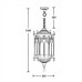 Уличный светильник подвесной 89905L Bl Oasis Light