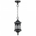 Уличный светильник подвесной 89905S Bl Oasis Light