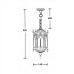 Уличный светильник подвесной 89905S Bl Oasis Light