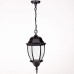 Уличный светильник подвесной 91205L Bl Oasis Light