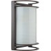 Настенный фонарь уличный SIDNEY 91466 R Oasis Light