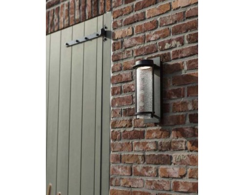Настенный светильник уличный W1859-3K Bl Oasis Light Настенный светильник уличный W1859-3K Bl Oasis Light